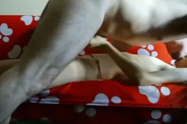 Live ABG Bispak Jakarta Hotel Bintang Lima Skandal Viral Indo Streaming